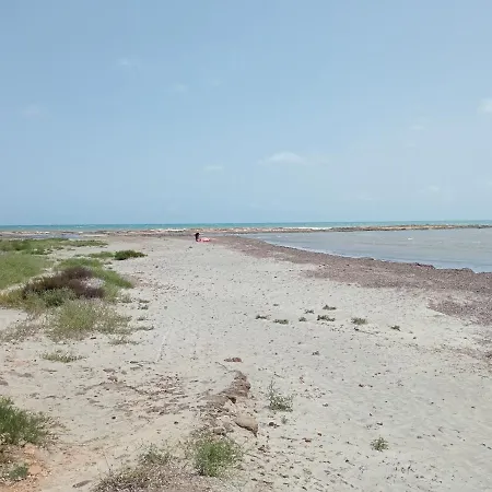 Veneziola Dreams, Feel Like *