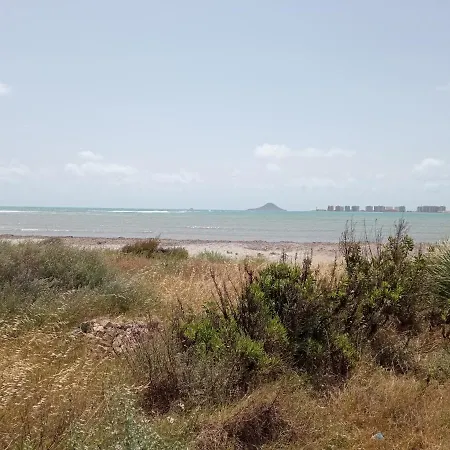 Veneziola Dreams, Feel Like لا مانغا ذيل مار مينور